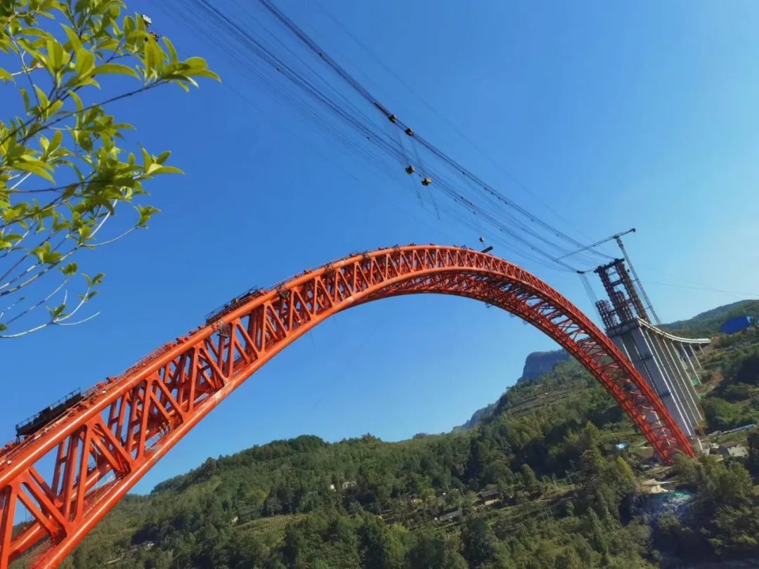 16664133682650941sfW.jpg 16664133682650941sfW.jpg